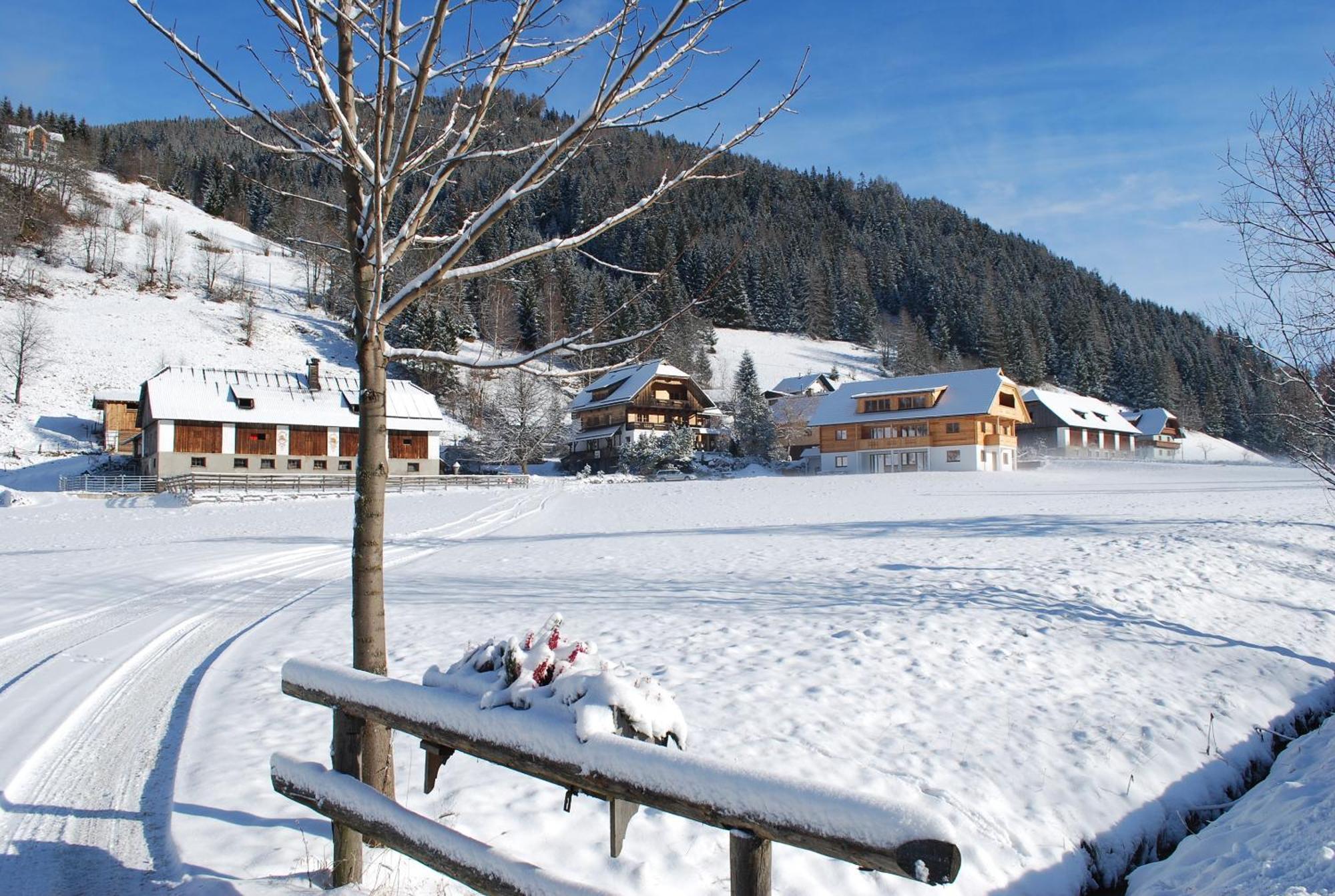 Biohof Seidl Lägenhet Bad Kleinkirchheim Exteriör bild