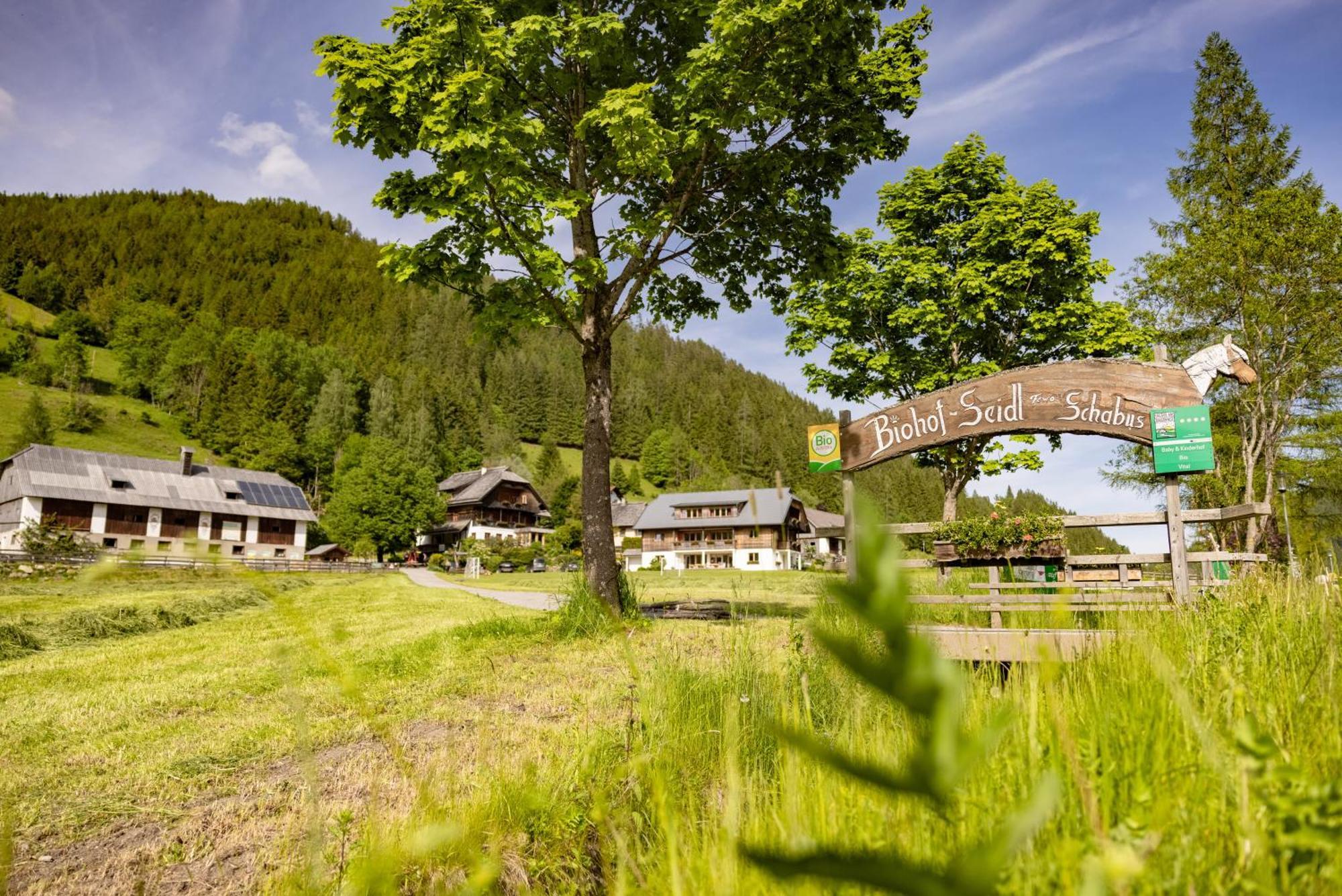 Biohof Seidl Lägenhet Bad Kleinkirchheim Exteriör bild