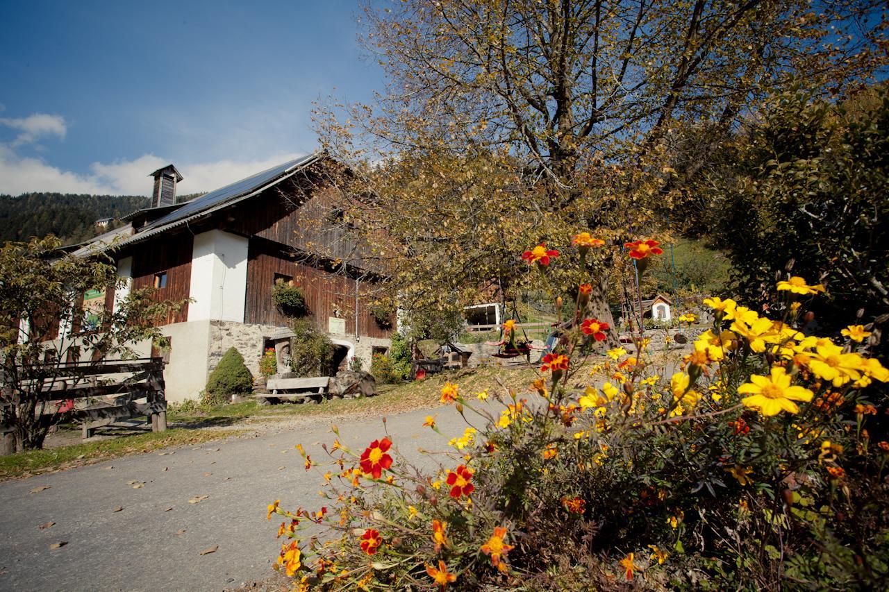 Biohof Seidl Lägenhet Bad Kleinkirchheim Exteriör bild