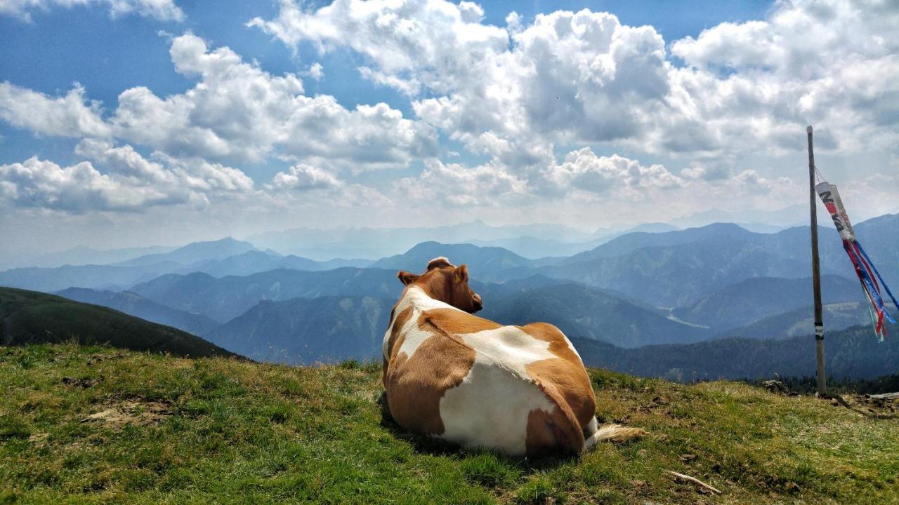 Biohof Seidl Lägenhet Bad Kleinkirchheim Exteriör bild